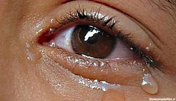 عکس گران ترین اشک دنیا  که گریه تان را در می آورد ! / واقعیت باورنکردنی
