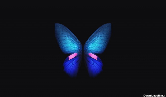 تصویر پس زمینه گرافیکی پروانه آبی | پیکفری