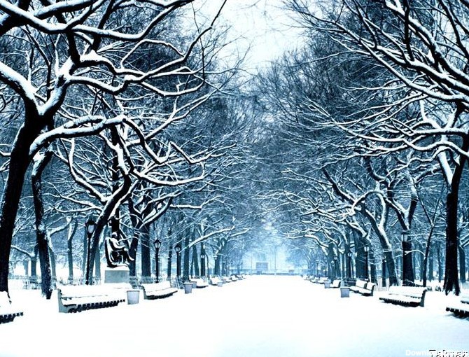 خبر بروجرد | تصاویر زمستان زیبا