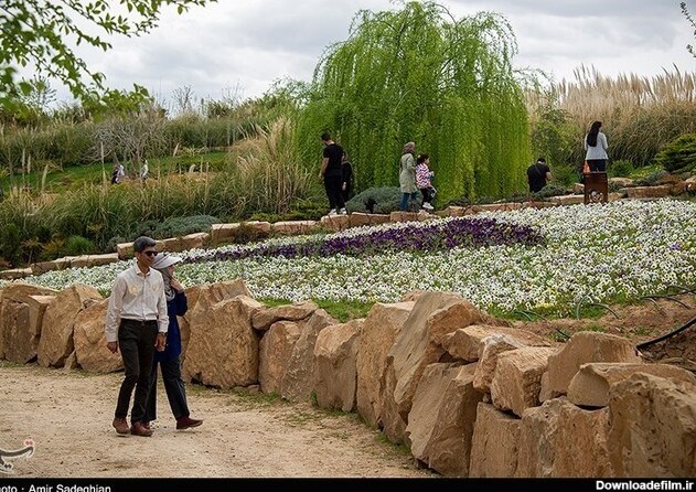 تصاویر| باغ گل‌ها در شیراز
