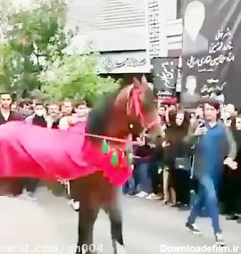 اسب حضرت عباسو میخوان اسب یزید کنن