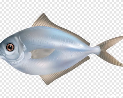 دانلود تصویر کارتونی دوربری شده ماهی طلایی با پسوند png