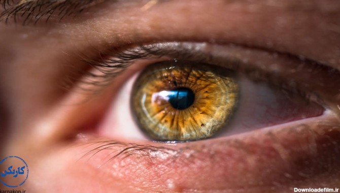 رنگ چشم عسلی چه چیزی در مورد شخصتتان می‌گوید