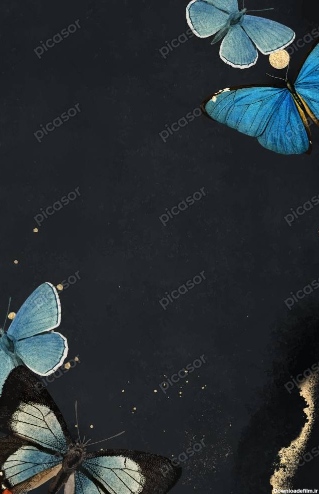 وکتور پس زمینه پروانه های آبی و زمینه آبرنگی و سنگی » پیکاسور
