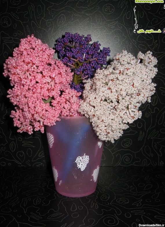 گل سنبل کریستالی - عکس ویسگون