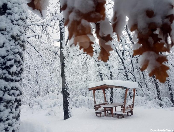 منظره زیبای زمستانی در شمال غرب ترکیه - Anadolu Ajansı