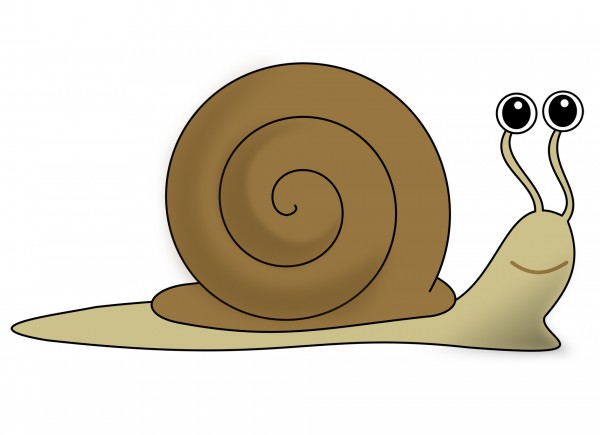 عکس کارتونی از حلزون