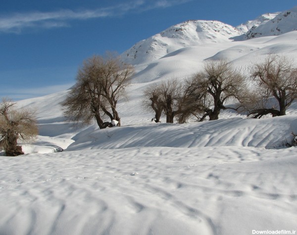 طبیعت زمستان ایران