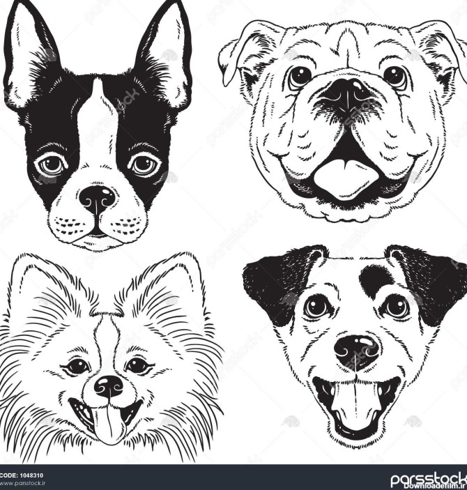 مجموعه ای از 4 صورت سگ بوستون تریر بولداگ انگلیسی اسباب بازی ...