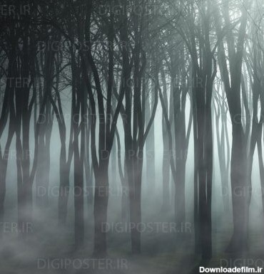 پوستردیواری سه بعدی منظره ترسناک جنگل تاریک کاغذدیواری وحشتناک