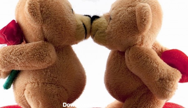 عکس عاشقانه بوسه خرس های عروسکی تدی
