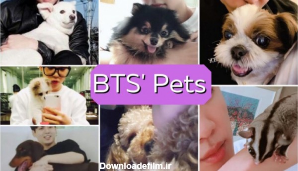معرفی کامل حیوانات خانگی اعضای بی تی اس || BTS 's Pets