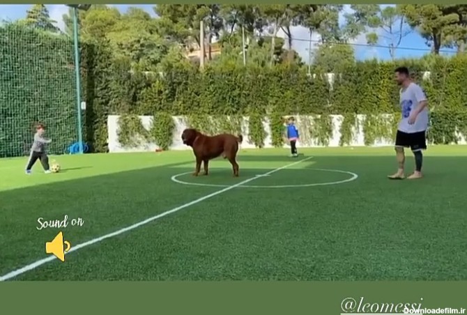 عکس؛ فوتبال بازی کردن مسی با سگ و پسرانش!