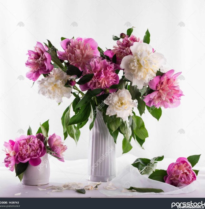 دسته گل زیبا از پونه های صورتی و سفید بر روی زمینه سفید 1428742