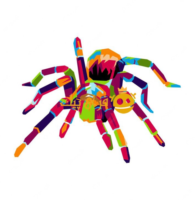 تصویر عنکبوت رنگارنگ در پس زمینه سفید 👑 - فری پیک فارسی