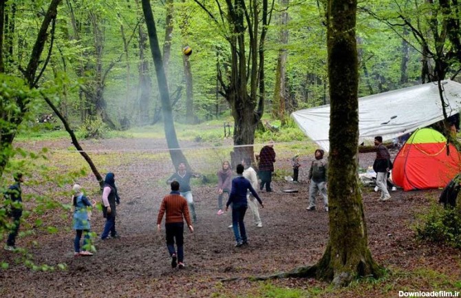 گردشگران در حال بازی در پارک جنگلی نور