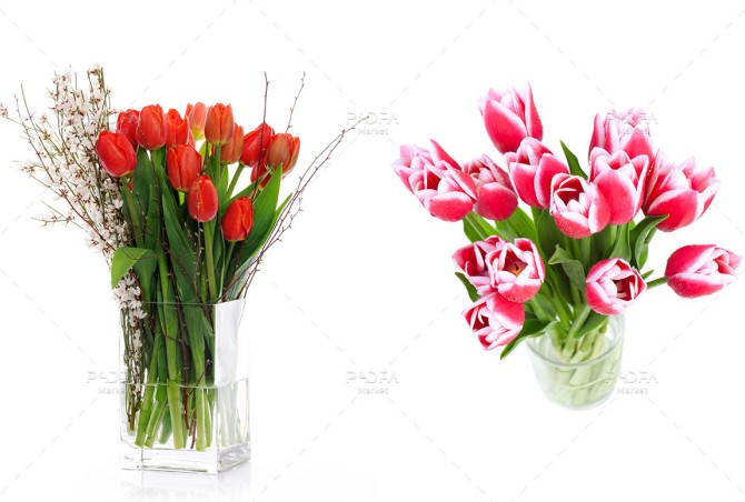 دانلود 15 تصویر استوک دسته گل لاله داخل گلدان با کیفیت بالا 93456 ...