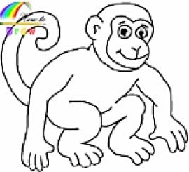 نقاشی آسان - آموزش نقاشی میمون