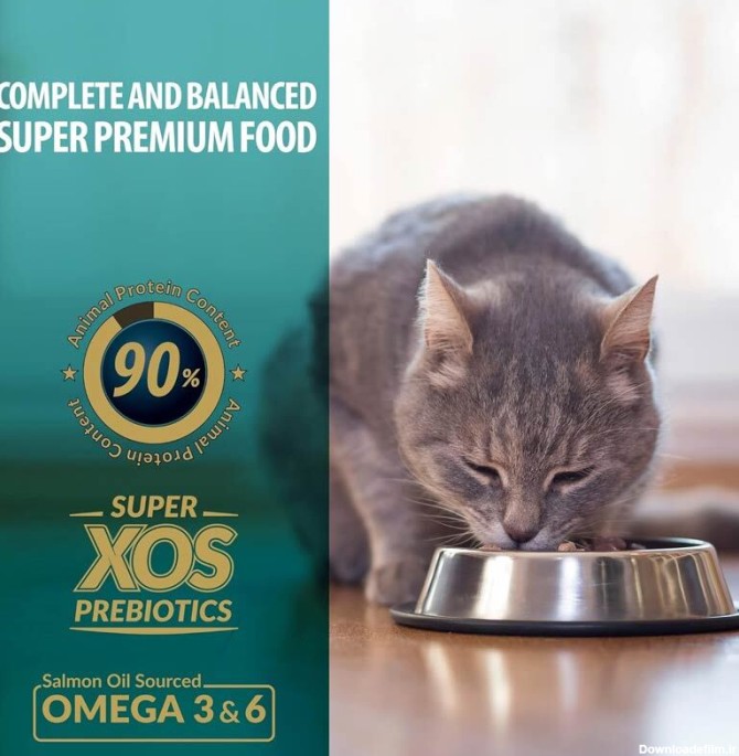 عکس تبلیغاتی غذای خشک گربه رفلکس پلاس مدل Adult Chicken وزن 1.5 کیلوگرم