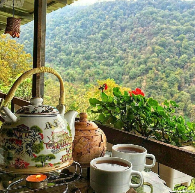 عکس فنجان چای در طبیعت