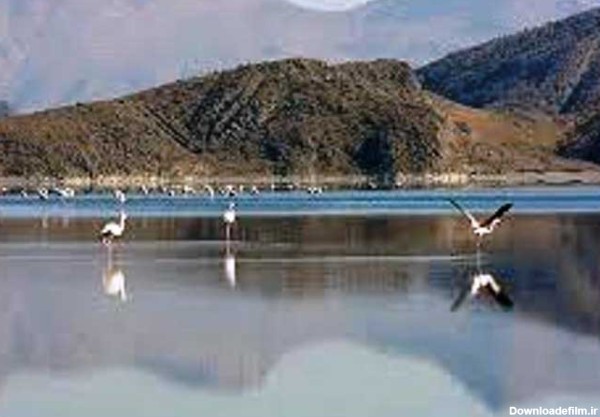 دریاچه‌ بختگان؛ بخت‌برگشته‌‌ای که سدها جانش را گرفتند - امرداد