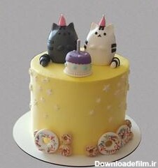 خرید و قیمت کیک تولد گربه از غرفه کیک و شیرینی پردیس