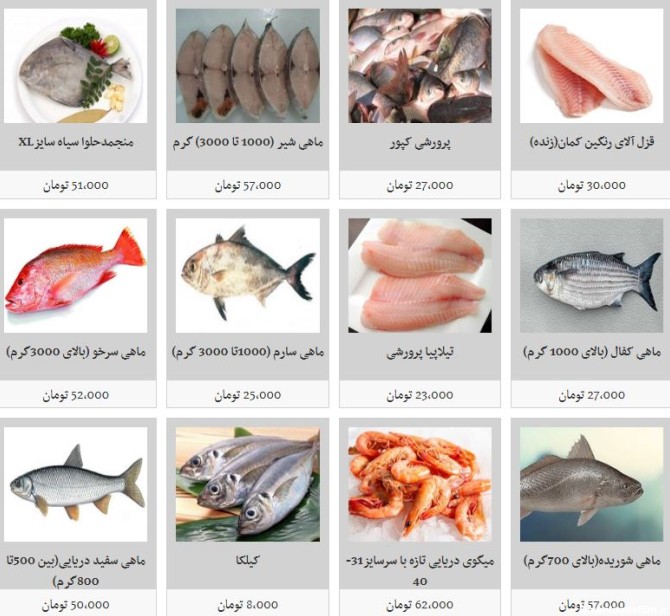 افزایش نسبی قیمت در بازار ماهی