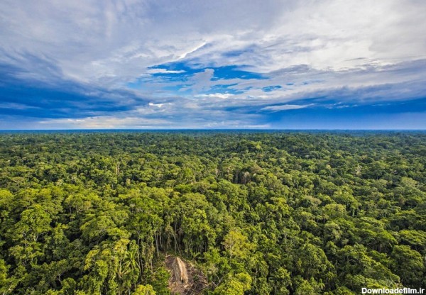 عکس/تصاویر هوایی از بومیان آمازون‎- اخبار رسانه ها تسنیم | Tasnim