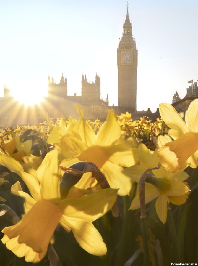 بهار در لندن