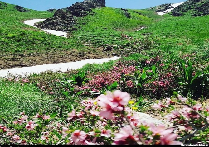 چشم اندازهای زیبای طبیعت بهاری «سارال» کردستان به روایت ...