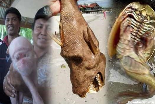 عجیب و ترسناک‌ترین موجودات جهان+عکس