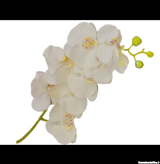 گل ارکیده سفید مصنوعی