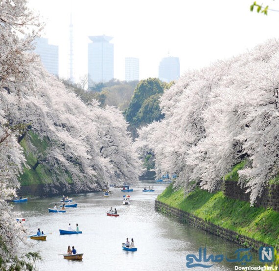 جاهای دیدنی توکیو| با جاذبه های گردشگری و جاهای دیدنی توکیو ...
