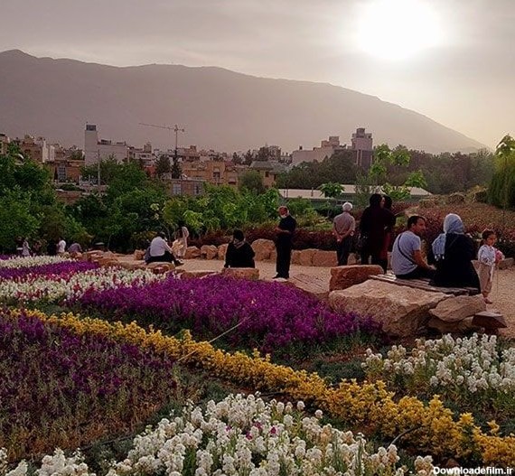 بوستان گلها شیراز | معرفی پارک گلها شیراز + آدرس و تصاویر | الماس تریپ