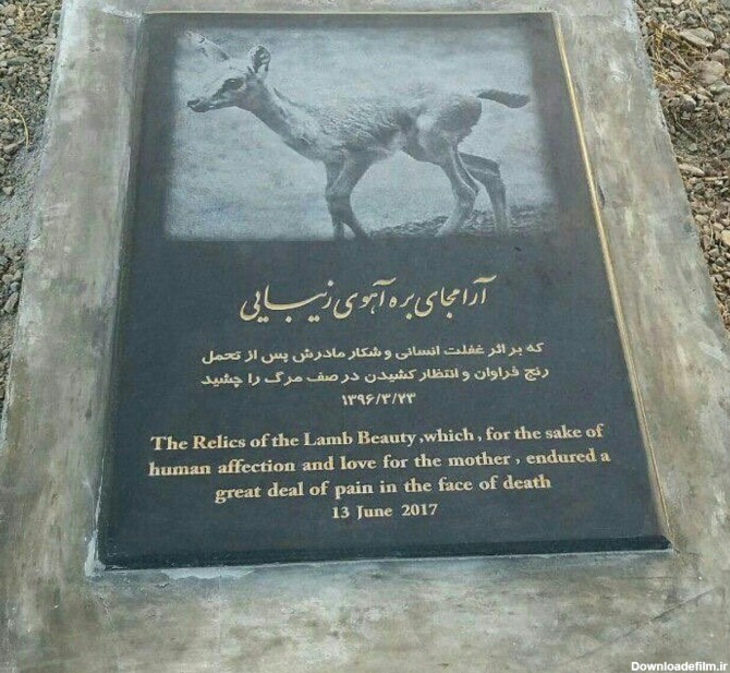 سنگ قبر حیوانات