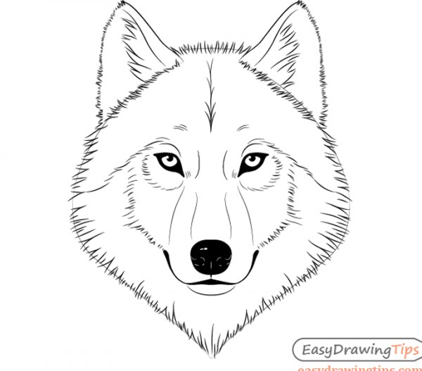نقاشی صورت گرگ کودکانه - عکس نودی