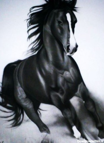 مدل اسب برای سیاه قلم