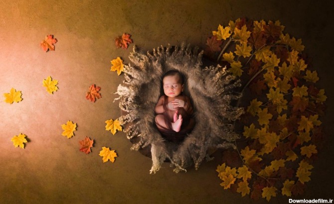 تم پاییز در آتلیه کودک | ‌Bonsai Photography Studio