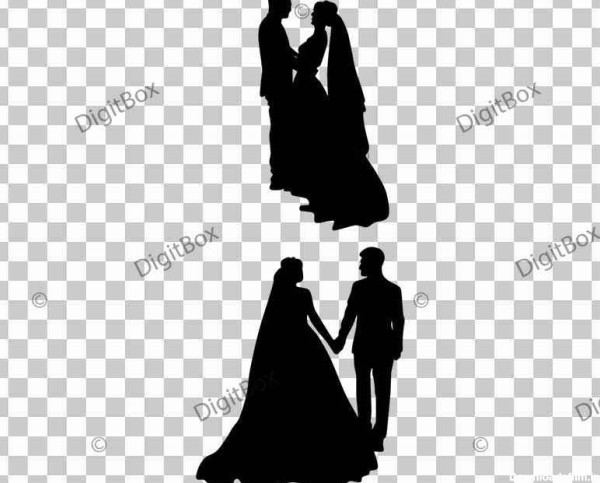 دانلود عکس ضدنور عروس و داماد - دیجیت باکس - DigitBox