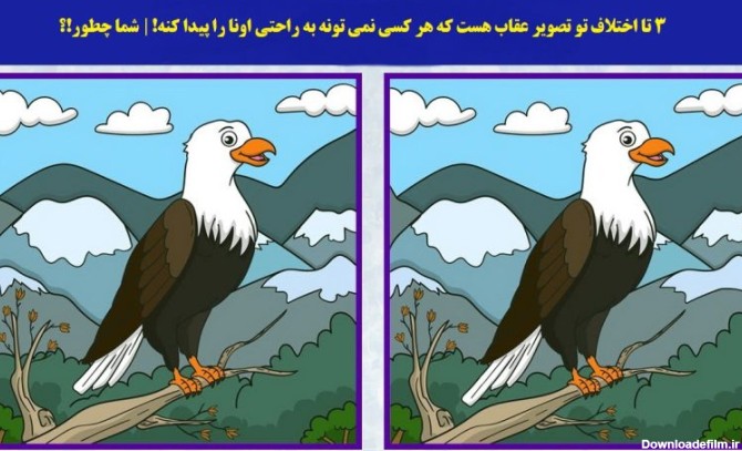 3 تا اختلاف بین دو تصویر عقاب هست که هر کسی نمی تونه در 9 ثانیه ...