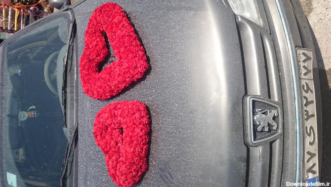 ماشین عروس به شکل قلب - عکس ویسگون