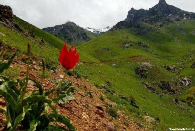 جاذبه های طبیعی کردستان: دریاچه و کوه و... با عکس | مجله علی بابا