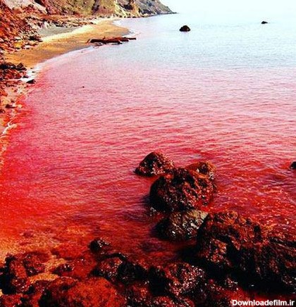 آخرین خبر | تصویری از ساحل سرخ در جزیره هرمز