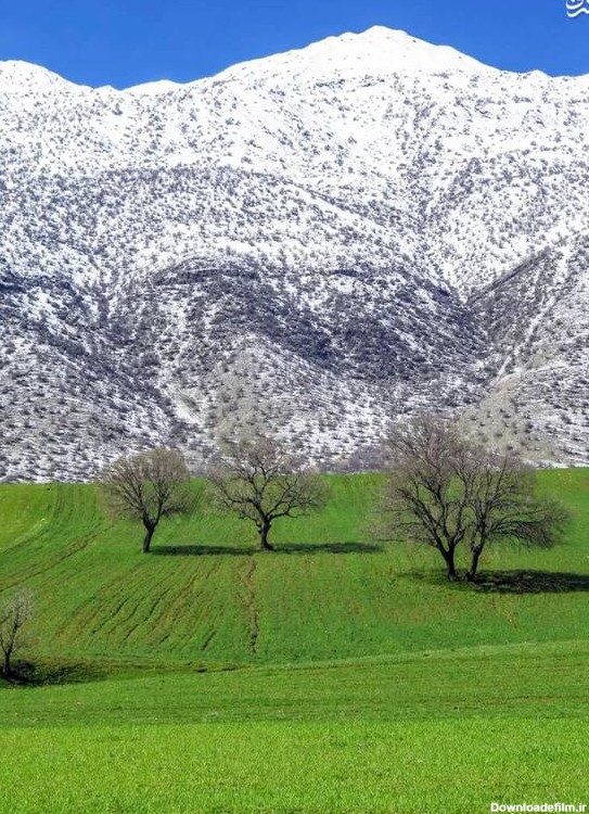 عکس/ بهار و زمستان در یک قاب - حلقه وصل