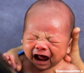 معنی و ترجمه ی 18 نوع گریه ی نوزاد + دلیل هرکدام