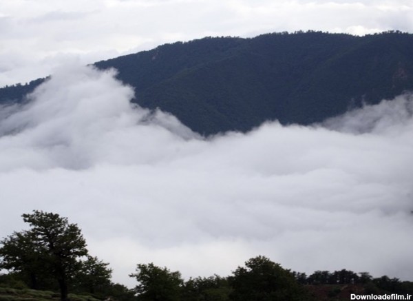 جنگل ابر جایی که آسمان به زمین می‌آید/لذت شیرین قدم زدن روی ابرها+تصاویر