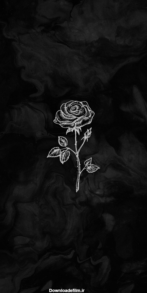 مجموعه عکس گل سیاه برای تسلیت (جدید)