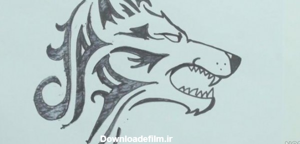 عکس صورت گرگ برای نقاشی