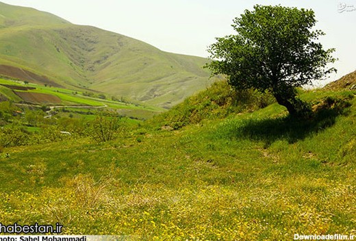 طبیعت محشر کردستان (عکس)
