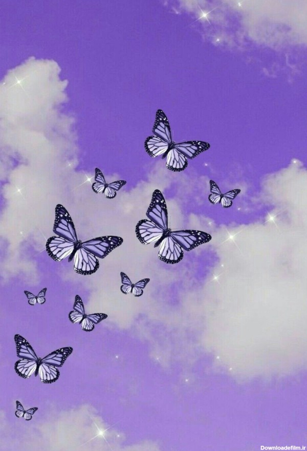 تصویر زمینه های شاپرک: پروانه(Wallpaper) - عکس ویسگون